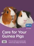 Care for Your Guinea Pigs - RSPCA
