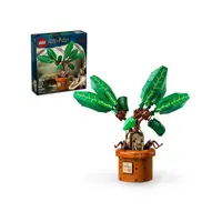 LEGO® Harry Potter 76433 Mandragora