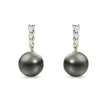 Náušnice ze žlutého 14k zlata s tahitskou perlou KLENOTA