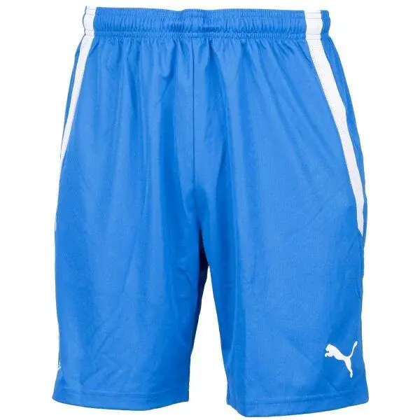 Puma TEAM LIGA SHORTS Pánske šortky, modrá, veľkosť