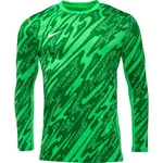 Nike DRI-FIT GARDIEN Pánsky brankársky dres, tmavo zelená, veľkosť
