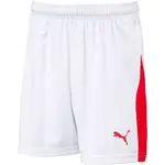 Puma LIGA SHORTS WITH BRIEF JR Chlapčenské futbalové šortky, biela, veľkosť