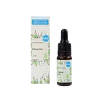 Kvitok Pleťové sérum - Zelený čaj (10 ml)