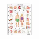 NAŠE TĚLO 35 d. EDU Puzzle