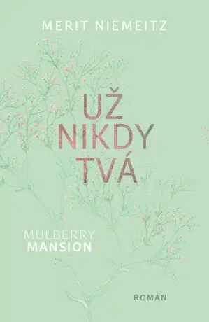 Už nikdy tvá - Merit Niemeitz