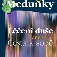 Léčení duše - Marie Hlávková - e-kniha