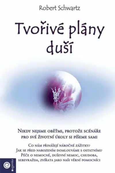 Tvořivé plány duší - Robert Schwartz