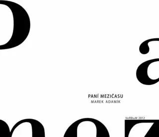 Paní mezičasu - Marek Adamík
