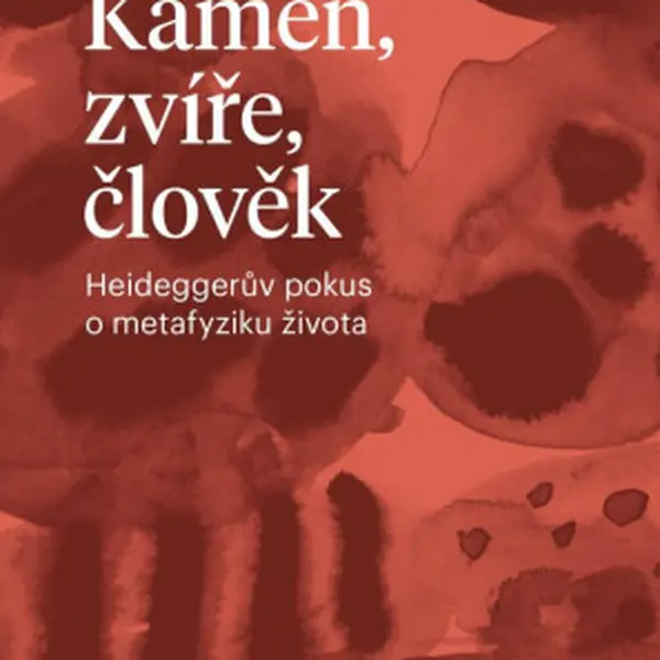 Kámen, zvíře, člověk - Aleš Novák