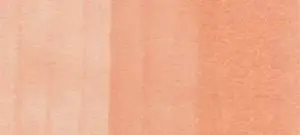 Copic Ink – R21 Sardonyx