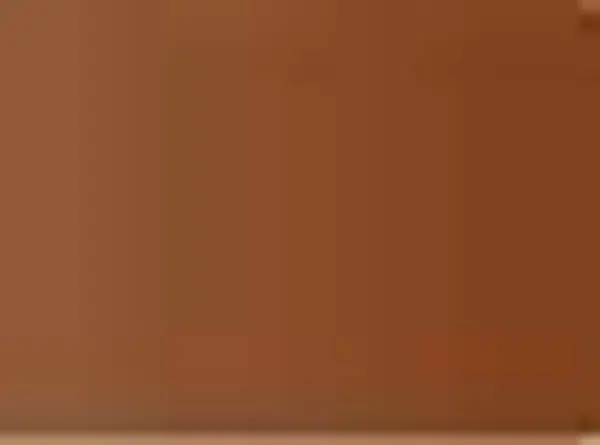 Pastel Caran d'Ache Neocolor II 028 Toledo brown