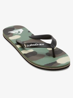 Pánské žabky Quiksilver MOLOKAI ART