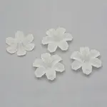 Transparent Acrylic Beads