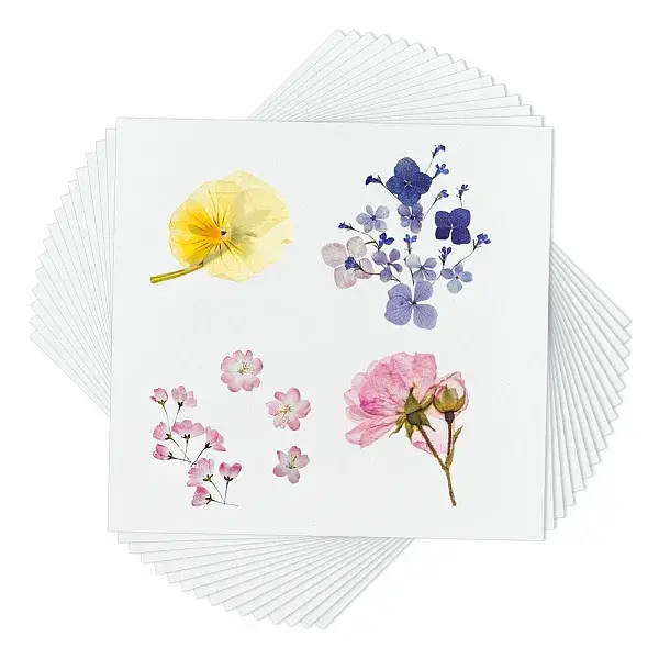 Dried Embossed Paper
