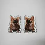 Printed Acrylic Pendants