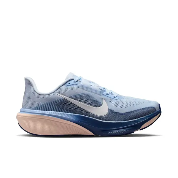 Nike Pegasus 42 41