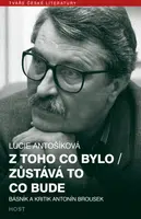 Z toho co bylo / Zůstává to co bude - Lucie Antošíková - e-kniha