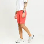 Champion Bike Trunk XS