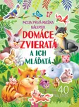 Domáce zvieratá a ich mláďatá