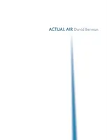 Actual Air - David Berman