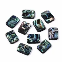 Natural Abalone Shell/Paua Shell Beads