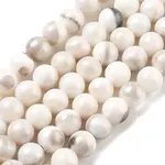 Natural Persian Jade Beads Strands