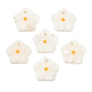 Natural Freshwater Shell Flower Charms