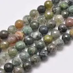 Natural Indian Agate Beads Strands
