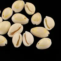 Natural Cowrie Shell Pendants