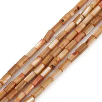 Natural Freshwater Shell Dyed Beads Strands