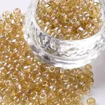 6/0 Glass Seed Beads