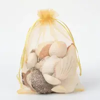 Organza Gift Bags with Drawstring