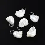 Natural Spiral Shell Pendants