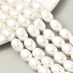 Electroplated Shell Pearl Beads Strands