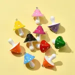 10Pcs Resin Pendants