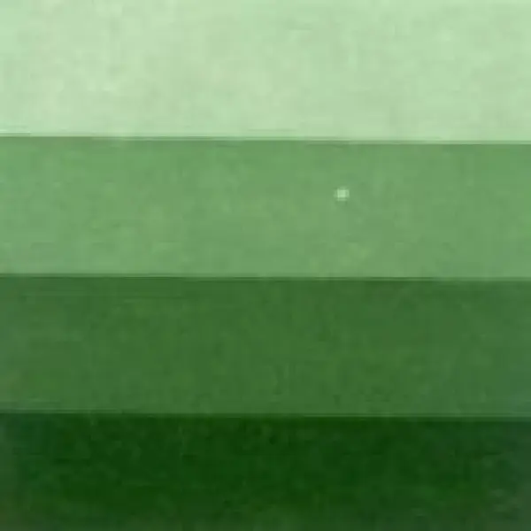 Grafická barva Charbonnel 200ml – sap green