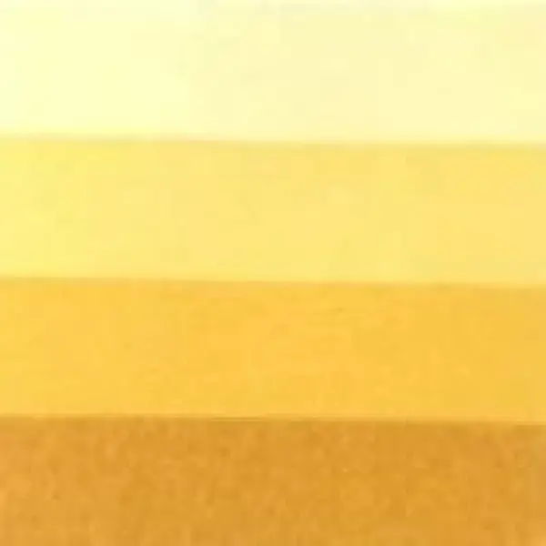 Grafická barva Charbonnel 200ml – raw sienna