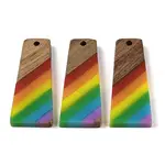 Pride Rainbow Theme Resin & Walnut Wood Pendants