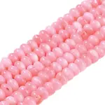 Natural Freshwater Shell Beads Strands