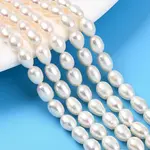 Natural Cultured Freshwater Pearl Beads Strands
