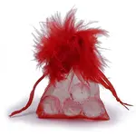 Organza Gift Bags