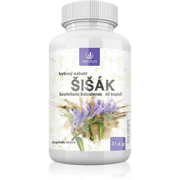 Allnature Šišiak kapsuly s antioxidačným účinkom 60 cps