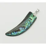 Abalone Shell/Paua Shell Pendants