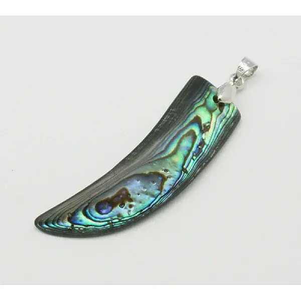 Abalone Shell/Paua Shell Pendants