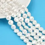 Electroplated Shell Pearl Beads Strands
