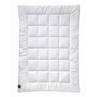 Billerbeck ZIMNÍ PŘIKRÝVKA, 135/200 cm, polyester
