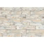 VLIESOVÁ TAPETA velikost: 368/248 cm