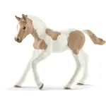 Schleich 13886 Žriebä plemená Paint Horse