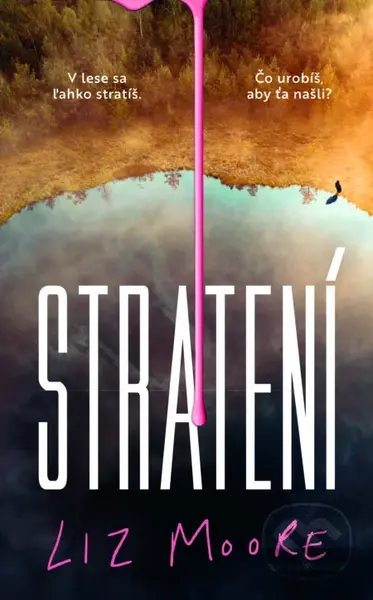 Stratení - Liz Moore - kniha z kategorie Společenská beletrie
