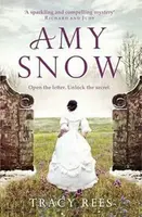 Amy Snow: The Richard & Judy Bestseller - Tracy Reesová